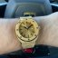 Men's Paul Rich gold watch with steel strap Signature Frosted - Midas Touch 45MM