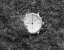 Zilverkleurig herenhorloge van About Vintage met echt leren riem Chronograph Steel / White 1815 41MM