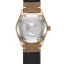 Zlaté pánské hodinky Aquatico Watches s koženým páskem Bronze Sea Star Green Bronze Bezel Automatic 42MM