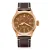 Zlaté pánské hodinky Aquatico Watches s koženým páskem Big Pilot Brown Automatic 43MM