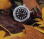 Silberne Herrenuhr Phoibos Watches mit Ledergürtel Vortex Anti-Magnetic PY042C - Black Automatic 43.5MM