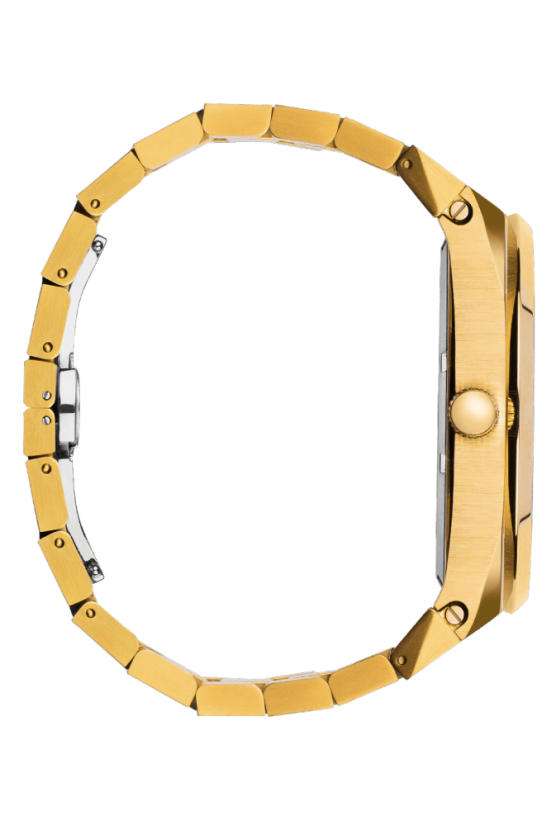 Men's Paul Rich gold watch with steel strap Royal Touch 45MM