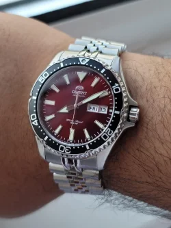 Interesting facts about the Orient Kamasu collection