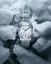 Stříbrné pánské hodinky Nivada Grenchen s ocelovým páskem Super Antarctic White 3.6.9 Cream 32066A04 38MM Automatic