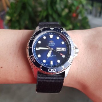 Interesting facts about the Orient Ray 2