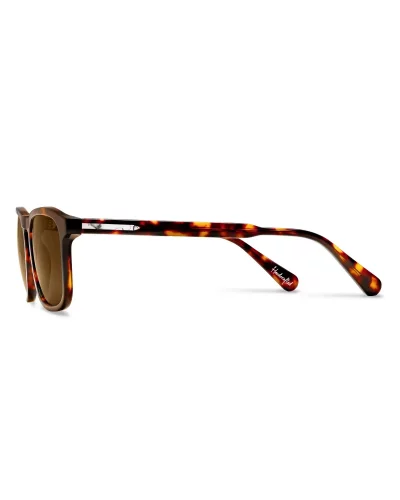 Brown men's Vincero sunglasses The Midway - Whiskey Tortoise