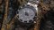 10 reasons to buy a Phoibos watch