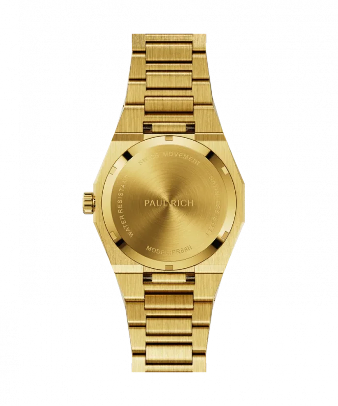 Men's gold Paul Rich watch with steel strap Frosted Star Dust II - Gold 43MM