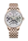 Zlaté pánske hodinky Agelocer Watches s ocelovým pásikom Schwarzwald II Series Gold / White Rainbow 41MM Automatic